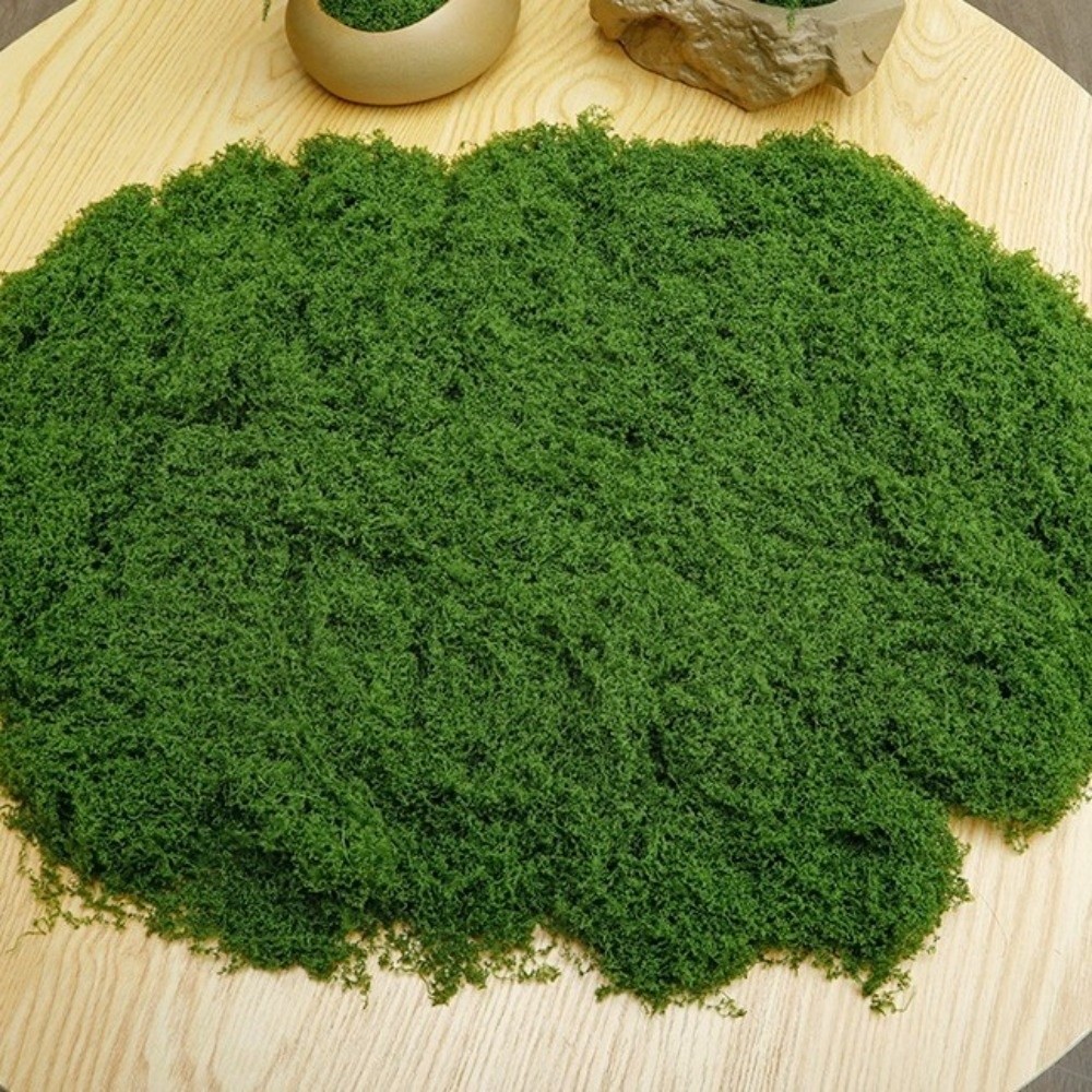 Piante di Muschio Artificiale  - Terrarium Moss Art recensione e prezzo